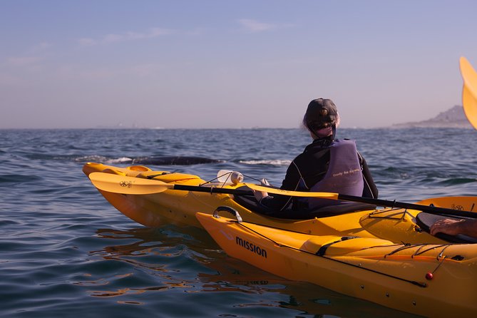 Kayak to the penguins in Simons Town - Starting at Long Beach in Simon’s Town