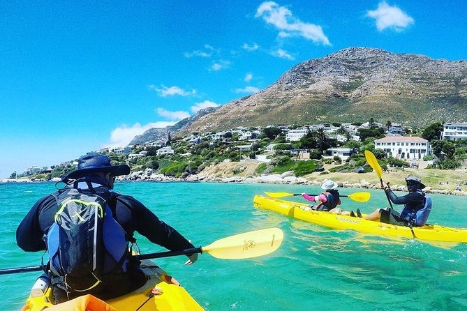 Kayak to the penguins in Simons Town - What the $54.92 price really covers