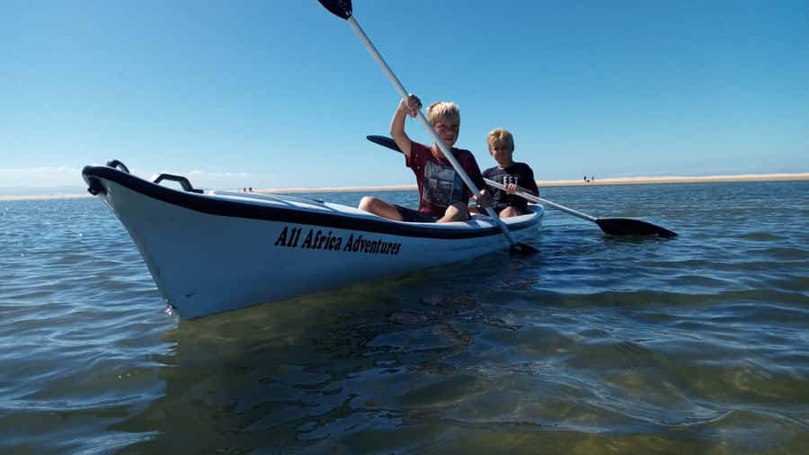 Kayaking Jeffreys Bay - Wildlife around the nature reserve