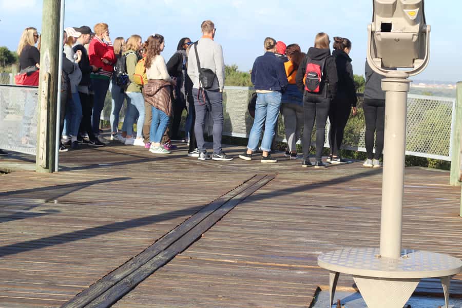 Khayelitsha: 3-Hour Township Walking Tour - Leather crafts and local shopping