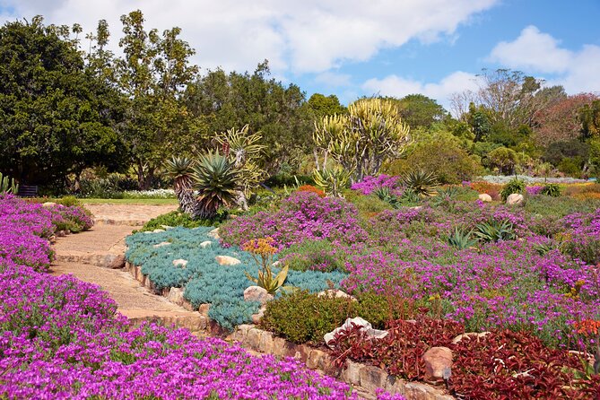 Kirstenbosch Garden, Bo-Kaap-Penguins & Cape of Good Hope Tour - Boulders Beach is the essential wildlife stop