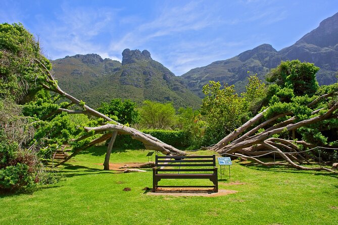 Kirstenbosch Garden, Bo-Kaap-Penguins & Cape of Good Hope Tour - Cape of Good Hope and Cape Point require sensible expectations