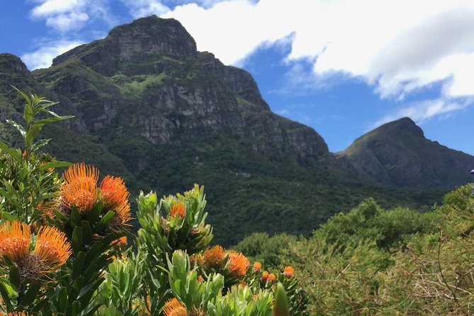 Kirstenbosch National Botanical Gardens: A Self-guided Audio Tour - What you are actually buying for $5.34