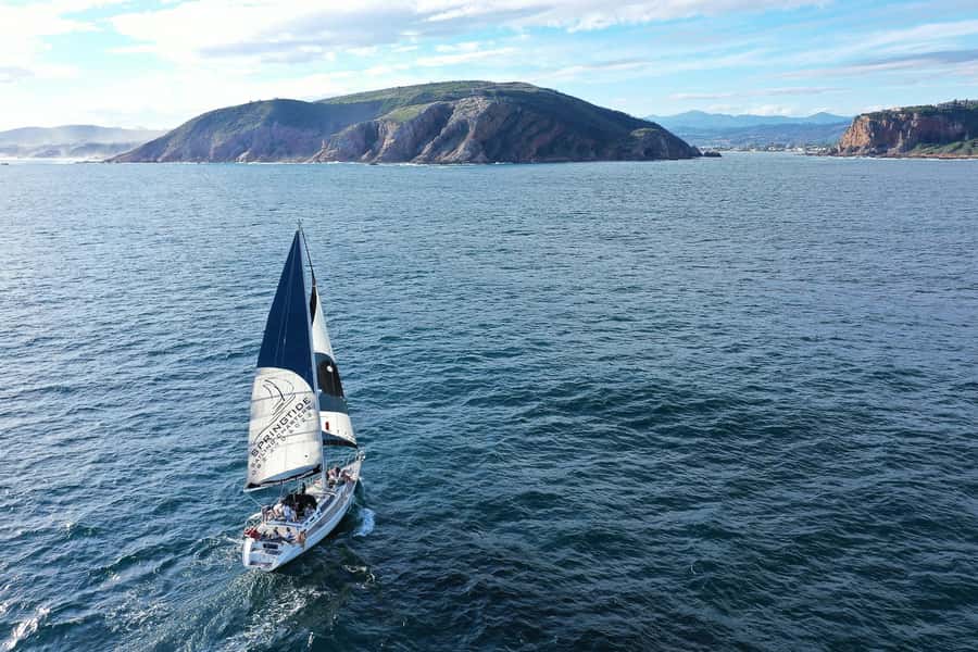 Knysna: 1.5-Hour Sailing Experience - What the 12-person limit changes