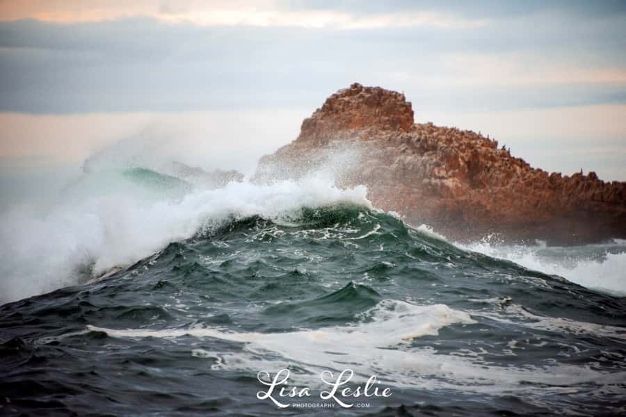 Knysna: 2.5-Hour Day Sail & Lunch Charter - Approaching the Knysna Heads
