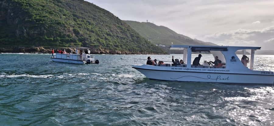 Knysna: 75-Minute Lagoon Boat Cruise - Starting at Thesen Island Harbour Town