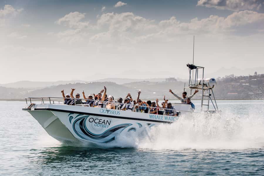 Knysna: Close Encounter Whale Watching Tour by Boat - Key points to know before you go