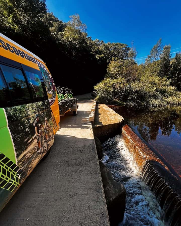 Knysna: Downhill Forest Scootour Adventure - The 15-minute ride into Knysna Forest