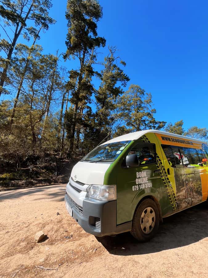 Knysna: Downhill Forest Scootour Adventure - Family riding and passenger arrangements