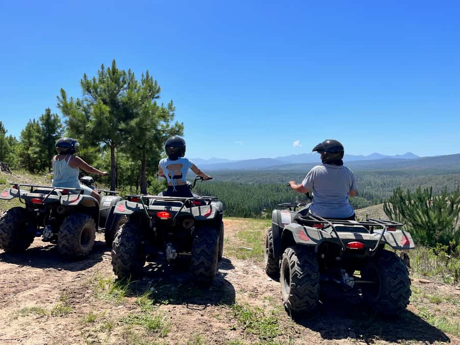 Knysna: Guided Quad Bike Tour in the Forest - From Thesen Island to the Knysna Forest