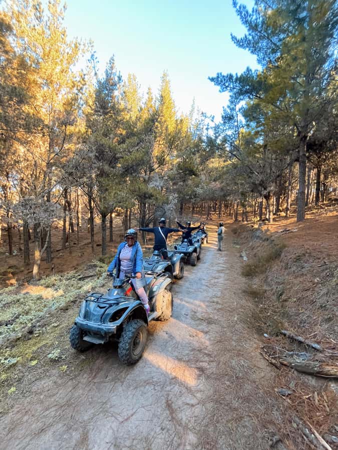 Knysna: Guided Quad Bike Tour in the Forest - Riding 12 to 15 kilometers through the forest