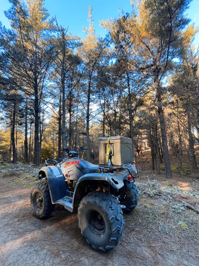 Knysna: Guided Quad Bike Tour in the Forest - Final call: should you book it?