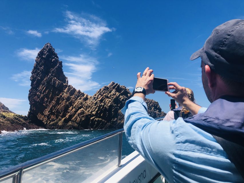 Knysna Heads and Estuary Adventure - Birdlife, vegetation, and the chance of a seal