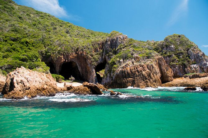 Knysna Heads & Lagoon Adventure Tour - Wildlife Sightings Depend on the Day