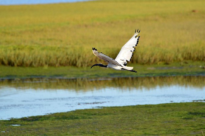 Knysna Heads & Lagoon Adventure Tour - What the $44.45 Price Buys You