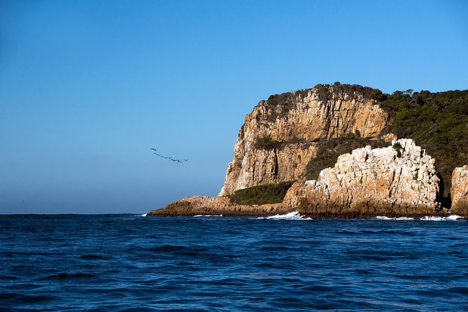 Knysna Heads & Lagoon Adventure Tour - Weather, Clothing, and Comfort