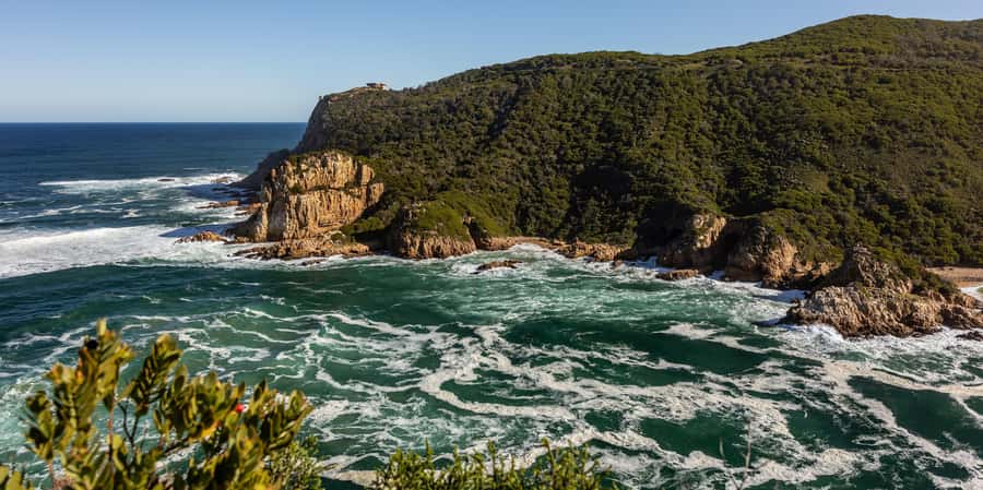 Knysna: Knysna Lagoon Pontoon Boat Cruise - Choosing between a daytime and sunset cruise