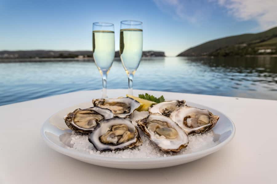 Knysna: Knysna Lagoon Pontoon Boat Cruise - Who will enjoy this cruise most?