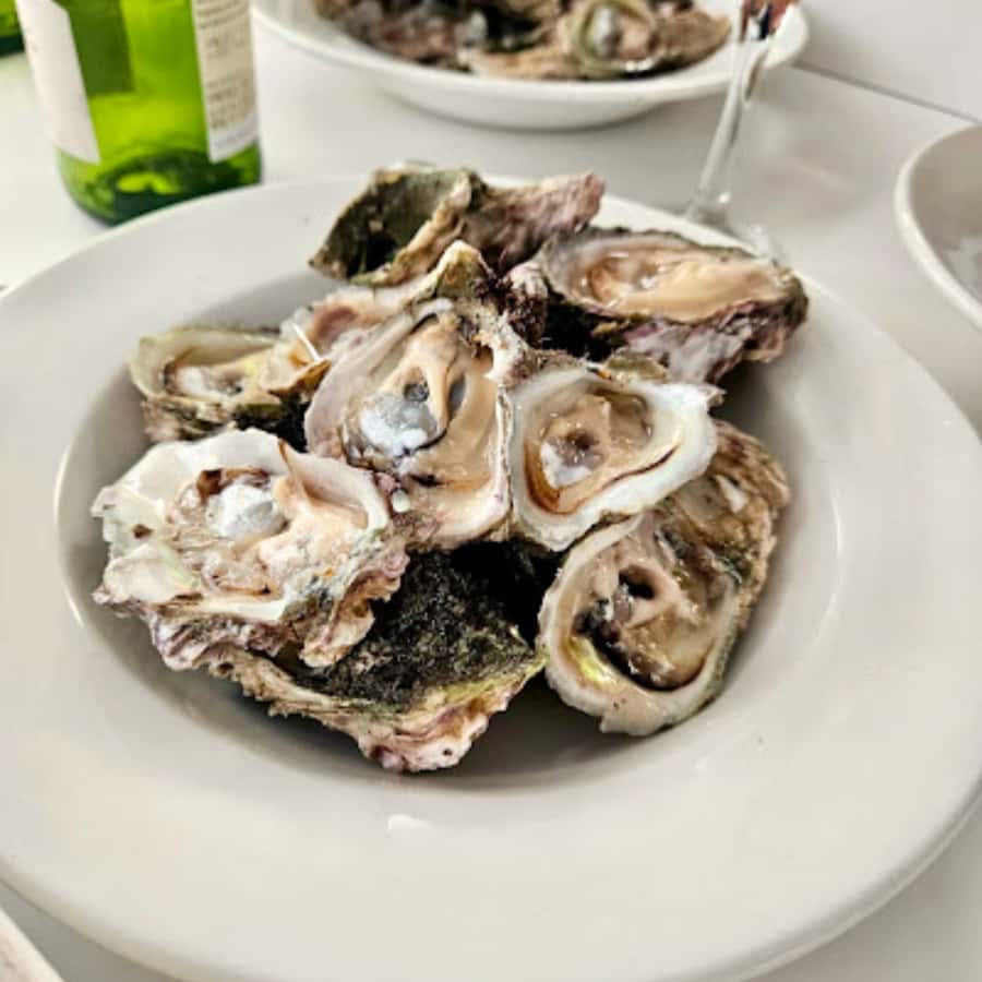 Knysna Lagoon: Boat Cruise with Oyster & White Wine Tasting - Key points to know before you go