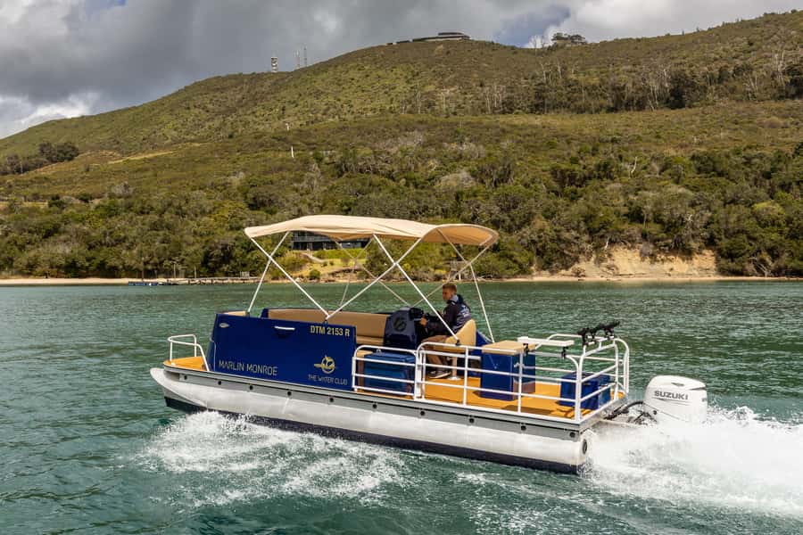 Knysna Lagoon Fishing Charter - What you might catch in Knysna Lagoon
