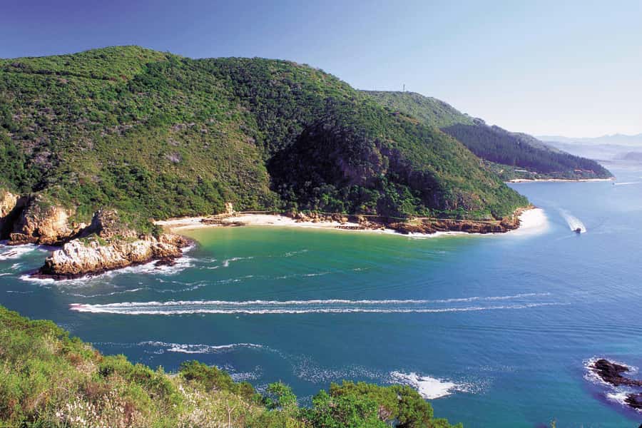 Knysna: Luxury Catamaran Marine Adventure Tour - Key Points Before You Book