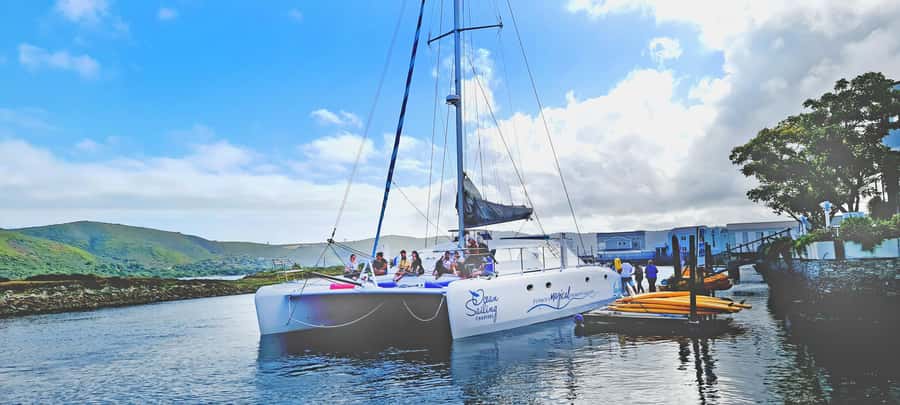 Knysna: Luxury Catamaran Marine Adventure Tour - Sailing Toward the Ocean