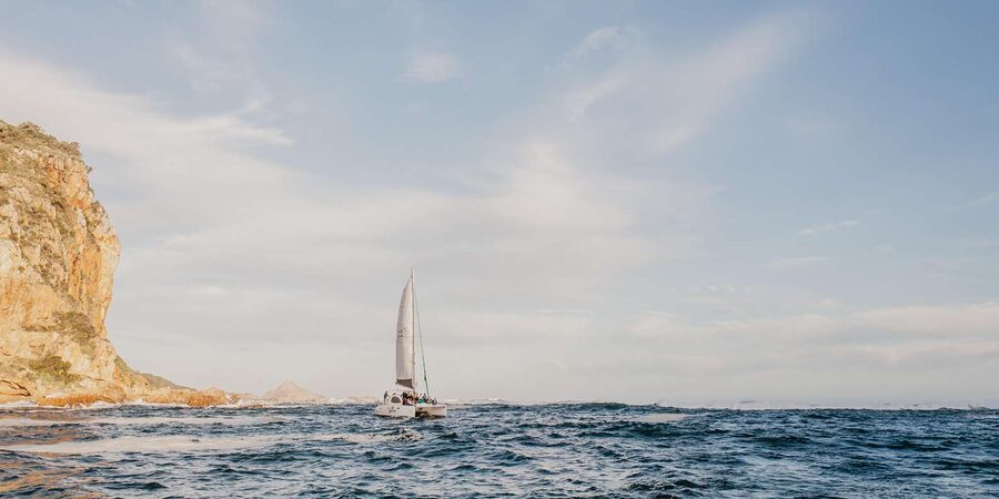 Knysna: Luxury Catamaran Marine Adventure Tour - What the Crew Adds to the Experience