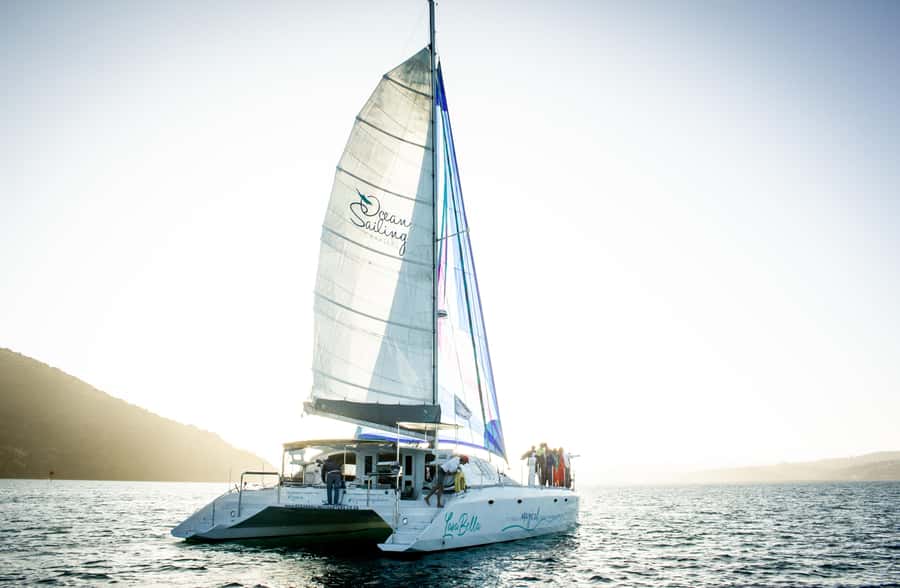 Knysna: Luxury Catamaran Marine Adventure Tour - Who Will Enjoy This Cruise Most