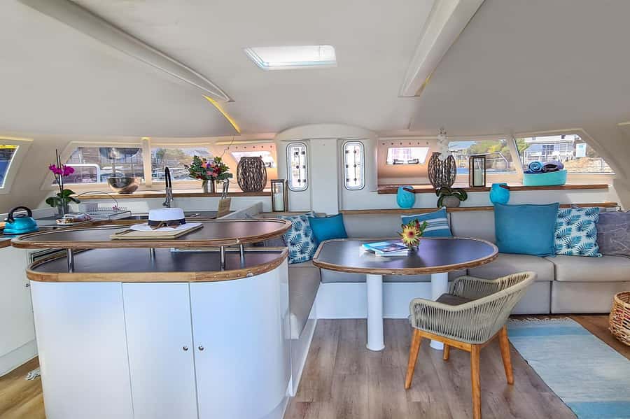 Knysna: Luxury Catamaran Marine Adventure Tour - What to Bring for Two Hours on the Water