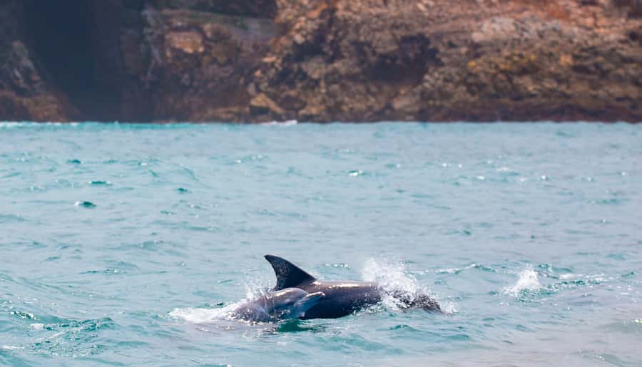 Knysna: Luxury Sunset Cruise with Captain's Barbeque - A short look toward the Indian Ocean