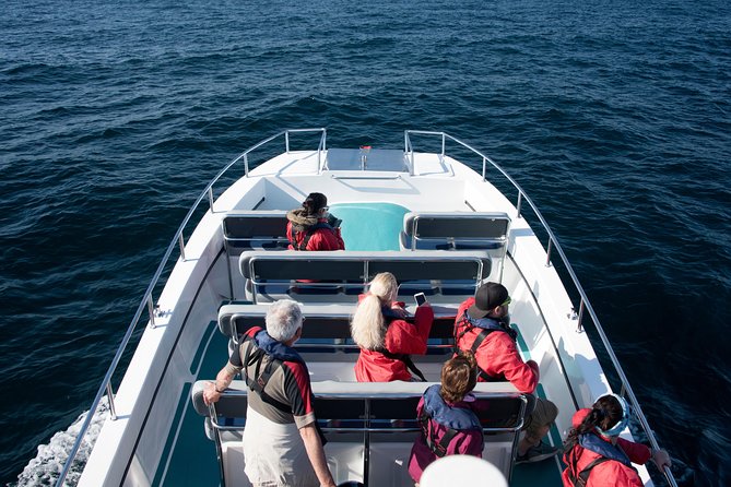 Knysna Marine Life & Garden Route Coastline Experience - Quick points before you book