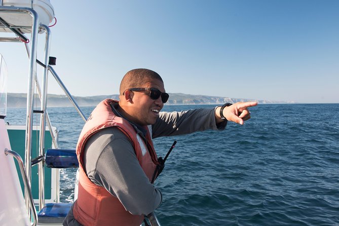 Knysna Marine Life & Garden Route Coastline Experience - What the 90-minute duration really gives you