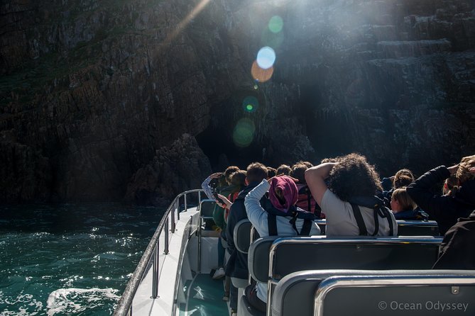 Knysna Marine Life & Garden Route Coastline Experience - Is $105 good value?