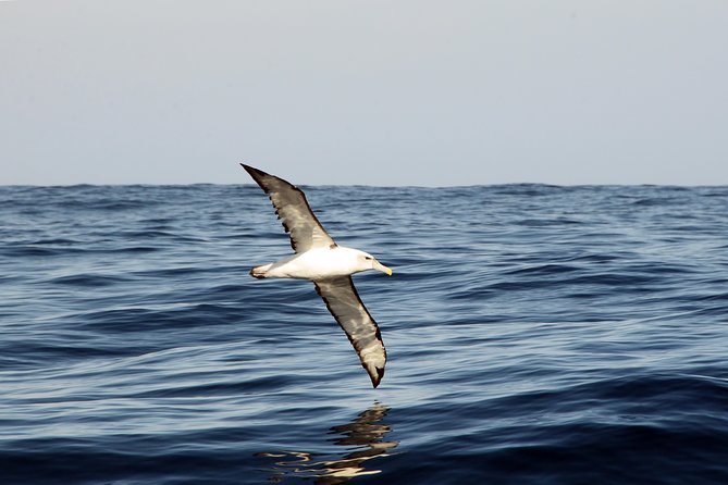 Knysna Marine Life & Garden Route Coastline Experience - Out toward Brenton-on-Sea and Buffalo Bay
