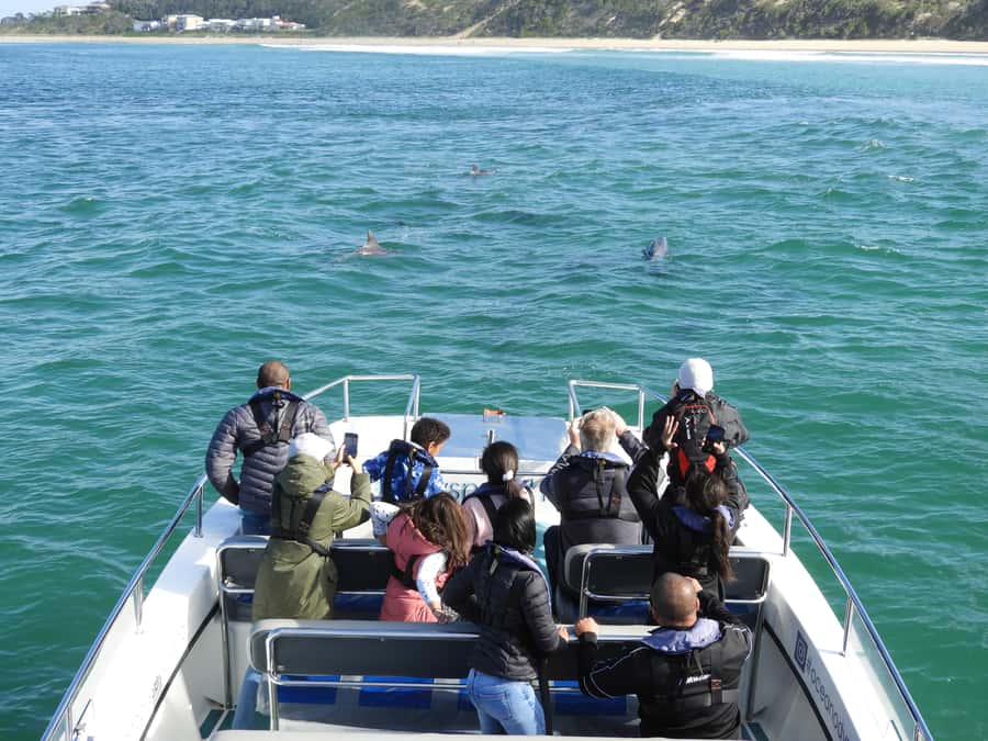 Knysna: Marine Life & Garden Route Coastline Tour - Key Points Before You Book