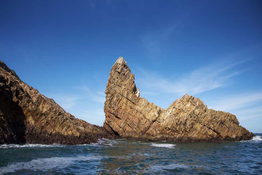Knysna: Marine Life & Garden Route Coastline Tour - Crossing the Knysna Estuary