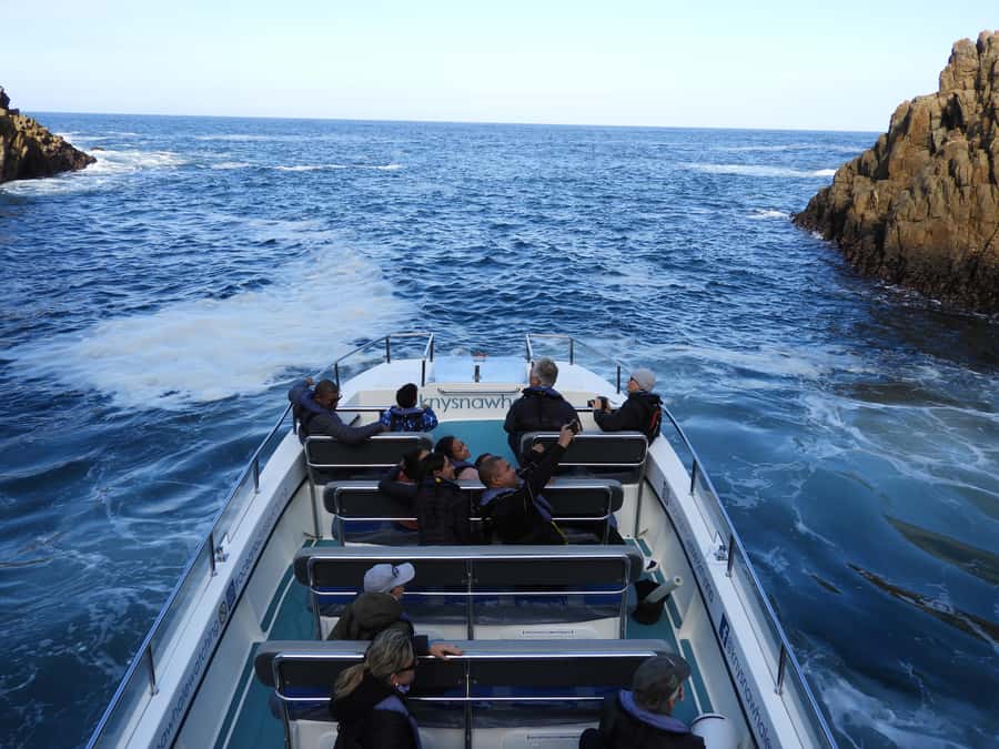 Knysna: Marine Life & Garden Route Coastline Tour - What the Smaller Group Changes