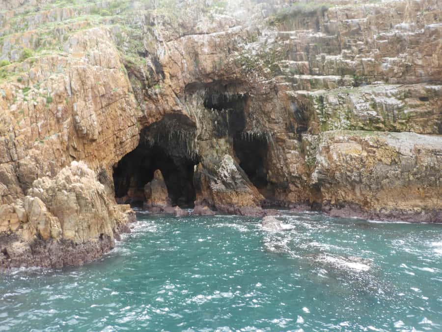 Knysna: Marine Life & Garden Route Coastline Tour - Who Will Enjoy This Cruise Most?