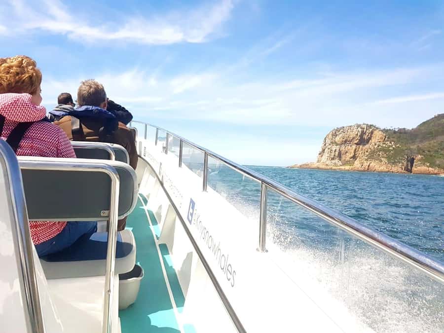 Knysna: Marine Life & Garden Route Coastline Tour - The 20-Minute Safety Briefing