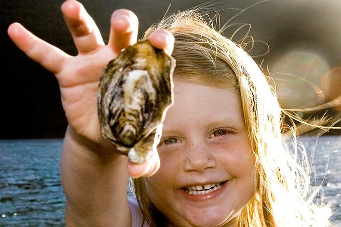 Knysna Oyster Tour - Why this short Knysna cruise works