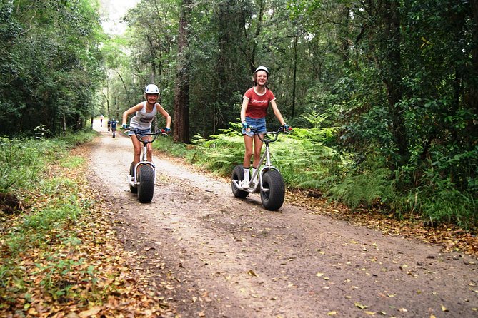 Knysna Scootour - Getting Set for the Forest Descent