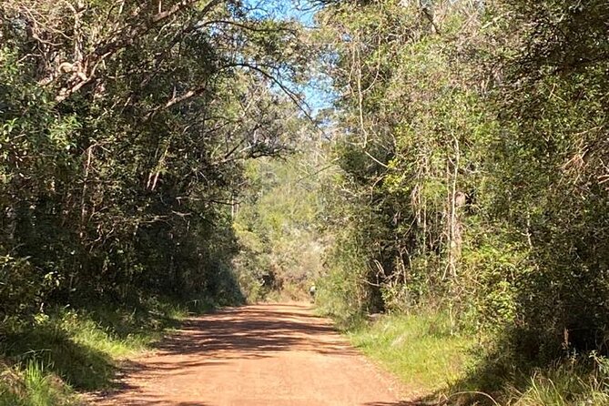Knysna Scootours - Practical details that affect your plans