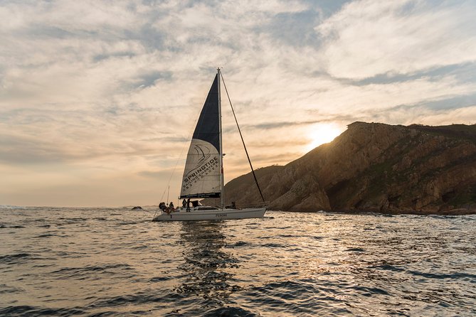 Knysna Sunset Sailing Cruise, Light Dinner & Bubbly - Is $104.67 good value?
