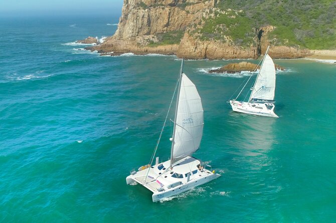Knysna Sunset Sailing Cruise with captain's steak Braai & Bubbly - Key Points Before You Book