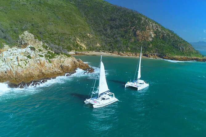 Knysna Sunset Sailing Cruise with captain's steak Braai & Bubbly - Is $97.54 a Fair Price?
