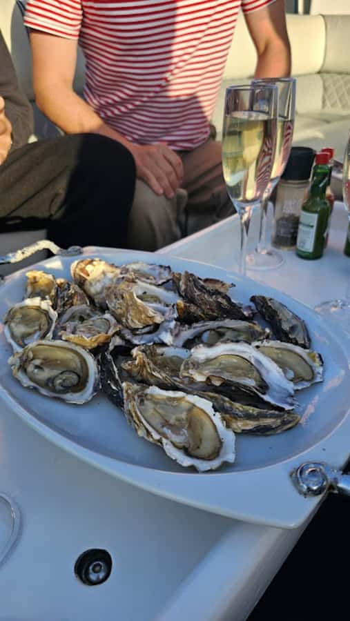 Knysna: Wine & Oyster Luxury Lounger Sunset Cruise - Key things to know before you book