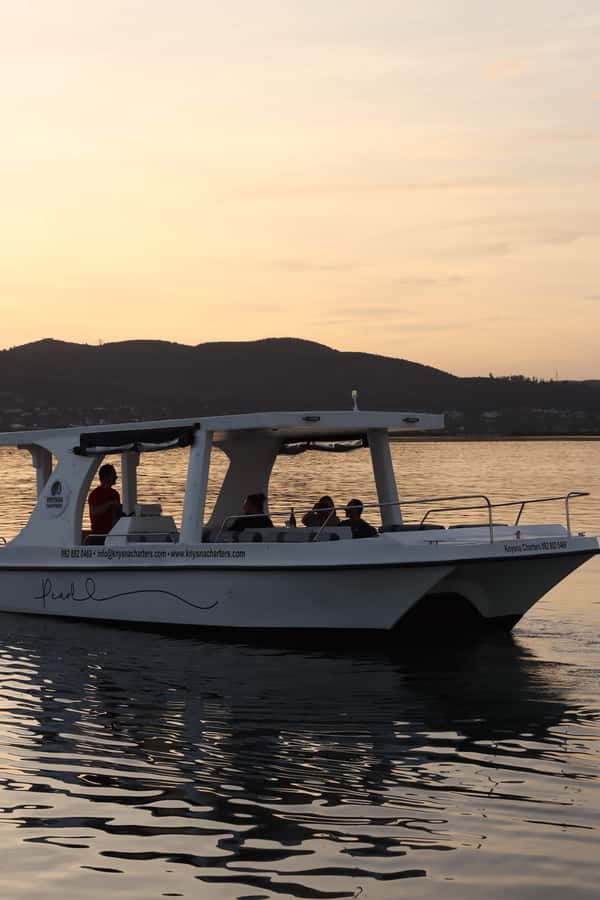 Knysna: Wine & Oyster Luxury Lounger Sunset Cruise - Comfort, weather, and the small details