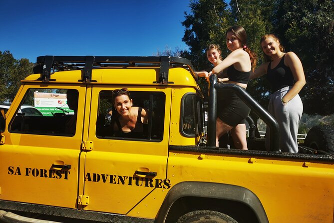 Knysna Ziplines Tour - Who will enjoy this two-hour activity?