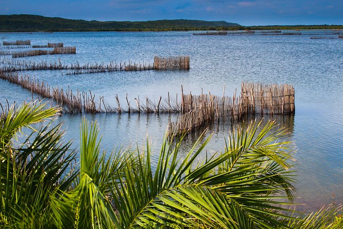 Kosi Bay Mouth Experience - Kayaking, Snorkeling, Fish Trap Tour and Fish braai - Why Kosi Bay is such a good setting