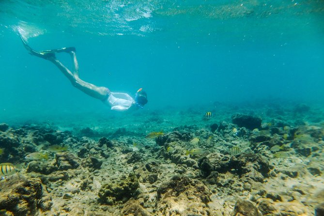 Kosi Bay Mouth Experience - Kayaking, Snorkeling, Fish Trap Tour and Fish braai - Price, timing, and what you receive